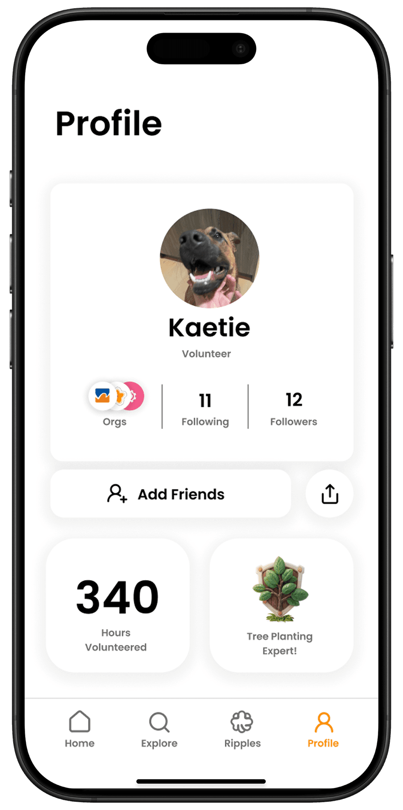 Profile Mockup